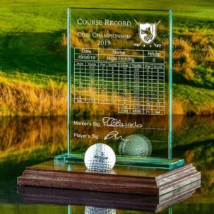 hole in one plaque